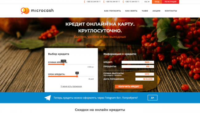 Скриншот Microcash